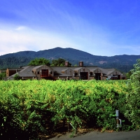 winery-from-the-pond