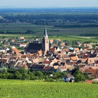 Bergheim