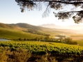 05-View-of-Jordan-Wine-Estate